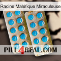 Racine Maléfique Miraculeuse new08